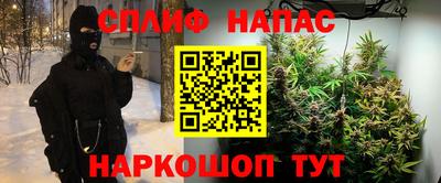 гидра Беслан