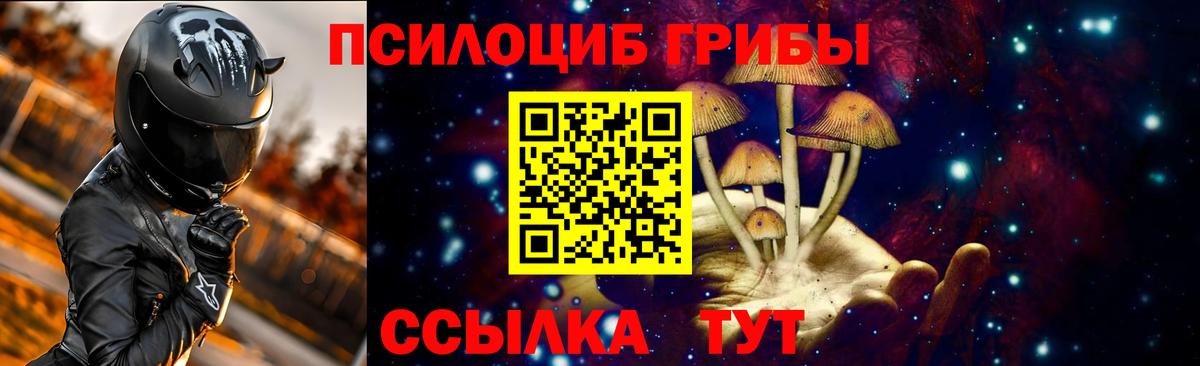 Галлюциногенные грибы Psilocybine cubensis  Вход с VPN  Верхняя Салда 